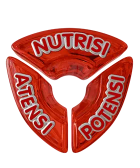 Nutrition, Attention and Potency Pillars